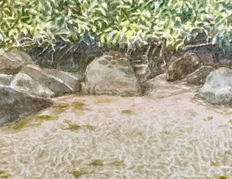 aquarelle