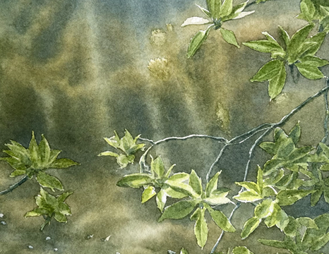 aquarelle